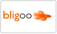 bligoo.com